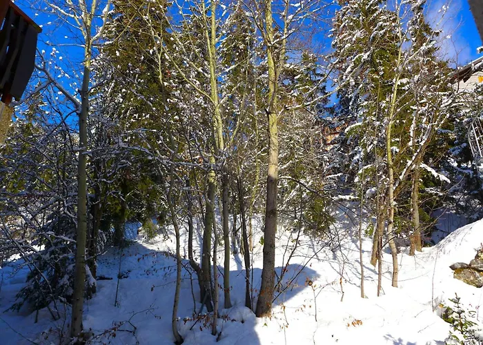 Апартаменты Mandarin B 19 By Interhome Кран-Монтана