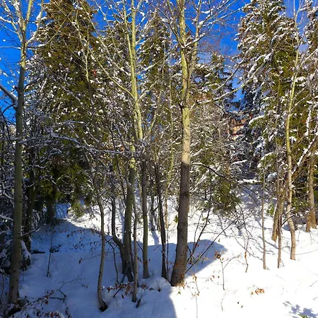 Appartement Mandarin B 19 By Interhome Crans-Montana